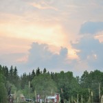 Himmel och jord Edens Garden