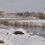 Winter Edens Garden 19 dec 2011 nr10