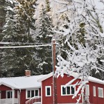 Winter Edens Garden 19 dec 2011 nr15