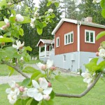 Semester Villa Edens Garden