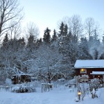 Old Cottage Winter nr1