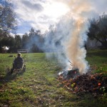 Autumn Edens Garden 2011 nr3