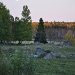 Autumn Edens Garden 2011 nr8