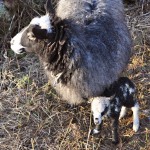 December 2011 Lam nr 1