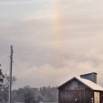 Winter Edens Garden 19 dec 2011 nr04