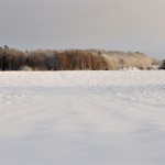Winter Edens Garden 19 dec 2011 nr08