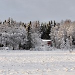 Winter Edens Garden 19 dec 2011 nr09