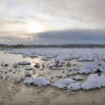 Winter Edens Garden 19 dec 2011 nr12