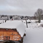 Winter Edens Garden 19 dec 2011 nr13