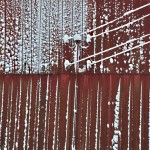 Winter Edens Garden 19 dec 2011 nr14