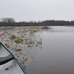 paddling 28 dec 2011 nr3