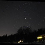 Edens Garden Night Stars