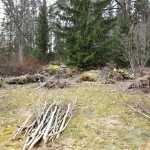 Edens Garden Spring nr 6