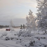 Winter Edens Garden 19 dec 2011 nr01