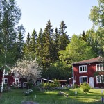 Old Cottage Edens Garden nr3