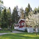 The Holiday Villa may 2012 nr1