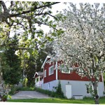 The Holiday Villa may 2012 nr2