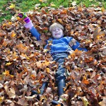 Autumn Edens Garden 2011 nr6