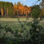 Autumn Edens Garden 2011 nr7