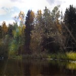 Yoga Paddling 30 okt 2012 nr5