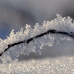 IJskristallen Edens Garden nr1