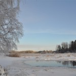 Kanostijger Edens Garden Winter nr3