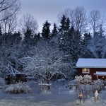 Old Cottage Winter 2012 nr3