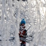 Sara Edens Garden Winter nr5