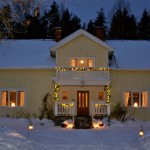 The Farm Winter 2012 nr1