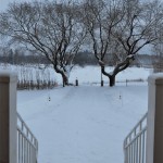 The Farm Winter 2012 nr4