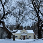 The Farm Winter 2012 nr5