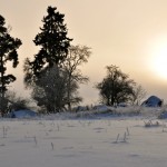 Uitzicht Edens Garden nr1