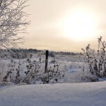 Uitzicht Edens Garden nr5