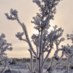 Uitzicht Edens Garden nr6