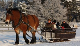 Grönsaksbonden Västerås