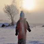 Sara Edens Garden Winter nr3