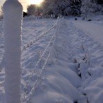 Winter Edens Garden 19 dec 2011 nr05