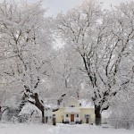 Even Beautiful during the Winter season