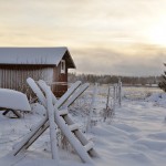 Winter Edens Garden 19 dec 2011 nr11