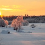 Winter sun at Edens Gaden