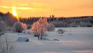 Winter sun at Edens Gaden