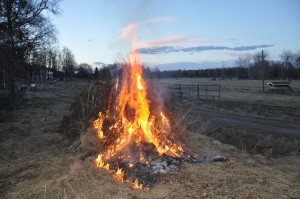 Bonfire