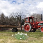 Collecting the branches