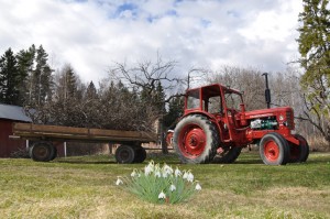Collecting the branches