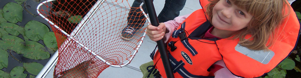 brax brasem brasse bream